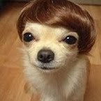 Sally Lewis Photo 10