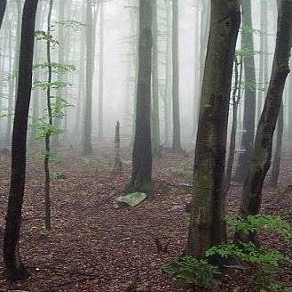 Kathleen Morton Photo 32