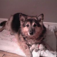 Tracy Sutherland Photo 8 Tracy Sutherland Photo 8