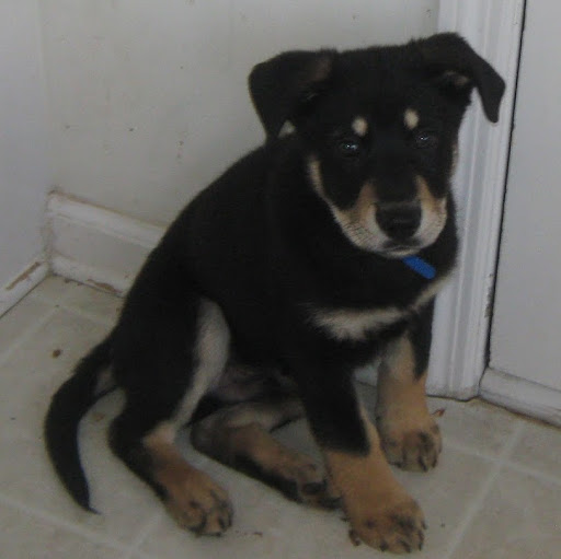 Michael Sweat Photo 17