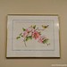 Frances Henry Photo 11