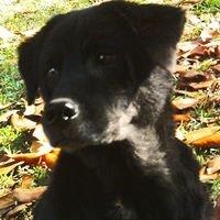 Susan Thornton Photo 32