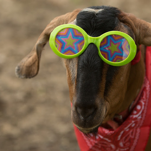 Billy Murray Photo 21