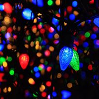 Janice Compton Photo 19