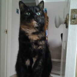 Harry Rogers Photo 45