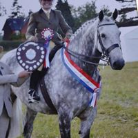 Stacey Harper Photo 25