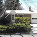 Debbie Sherman Photo 36
