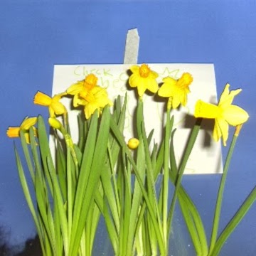 Maria Cartwright Photo 3