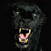 Steven Winter Photo 21