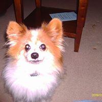 Bob Roscoe Photo 7