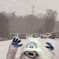 Kimberly Phelps Photo 42