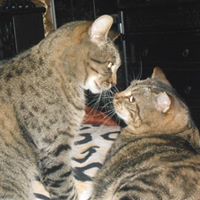 Kimberley Long Photo 20