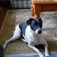 Penny Phipps Photo 4