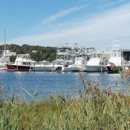 Pamela Carlson Photo 32
