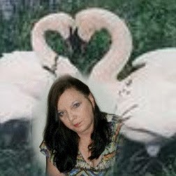 Susan Darragh Photo 3