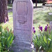 Shelley Rom Photo 5