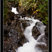 Steven Murdock Photo 23