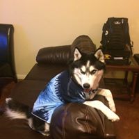 Bryan Cochran Photo 26