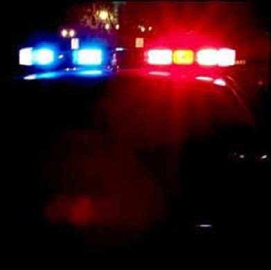 Laurie Bagwell Photo 7