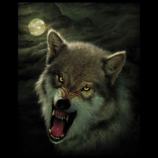 David Branham Photo 31