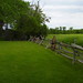Denise Wolfe Photo 24