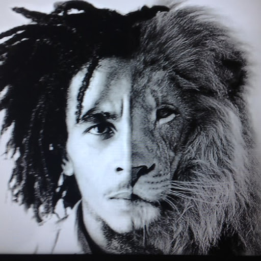 Daniel Stevens Photo 11