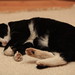 Dennis Weber Photo 25