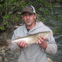 Adam Pease Photo 23 Adam Pease Photo 23