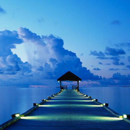 Becky Dodson Photo 26