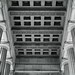 Edward Dougherty Photo 20