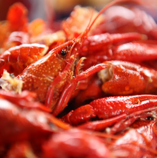 Michelle Kelsey Photo 16