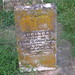 Thomas Jobe Photo 12
