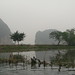 Ning Bing Photo 3