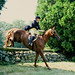 Norma Hamilton Photo 19
