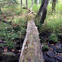 Ricki Calvert Photo 2