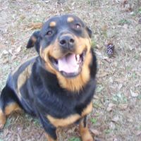 Sadie Jenkins Photo 20