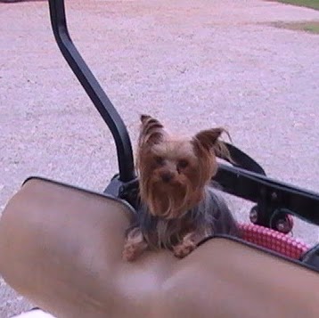 Ricky Vaughn Photo 33