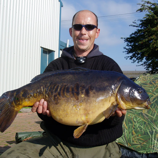 David Batchelor Photo 43