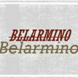 Belarmino Martins Photo 5