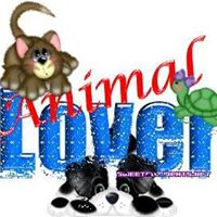 Donna Meadows Photo 16