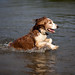 Kent Springer Photo 5