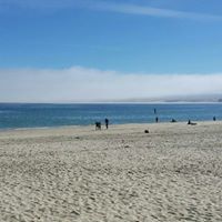 Debra Boyle Photo 6