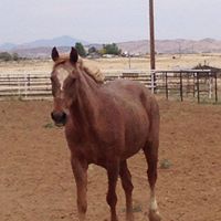 Catherine Ayres Photo 18