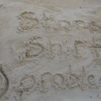 Debbie Merrill Photo 18