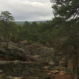 Alice Peters Photo 11