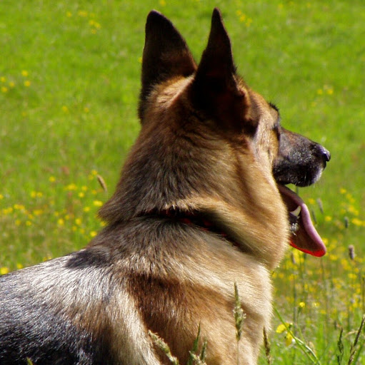 Billy Morrison Photo 12 Billy Morrison Photo 12