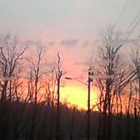 Tracey Malloy Photo 15