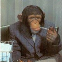 Scott Krueger Photo 25