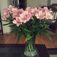 Laurie Kent Photo 15