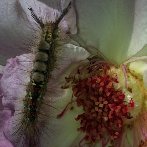 Bryan Abbott Photo 37